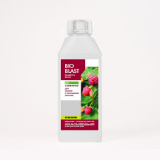 Raspberry Boost — біостимулятор для малини. 0.5L Raspberry Boost — біостимулятор для малини. 0.5L - Bioblast